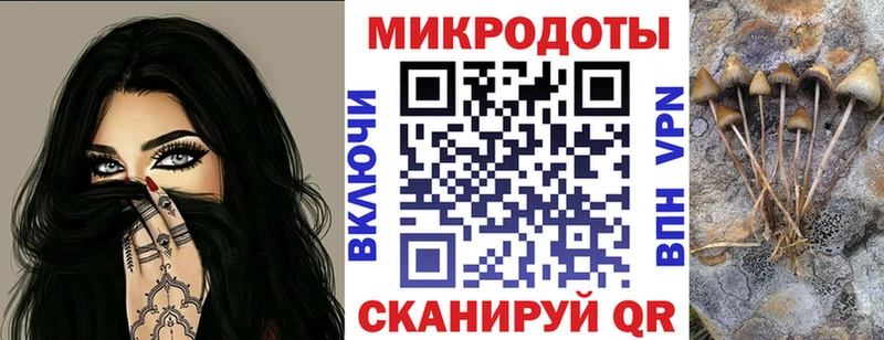купить  цена  Щёлково  Псилоцибиновые грибы ЛСД 